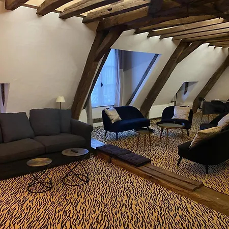 Apartment Loft - Particulier Xvii - Centre